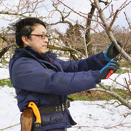 ふたつの空と 阿部 郁