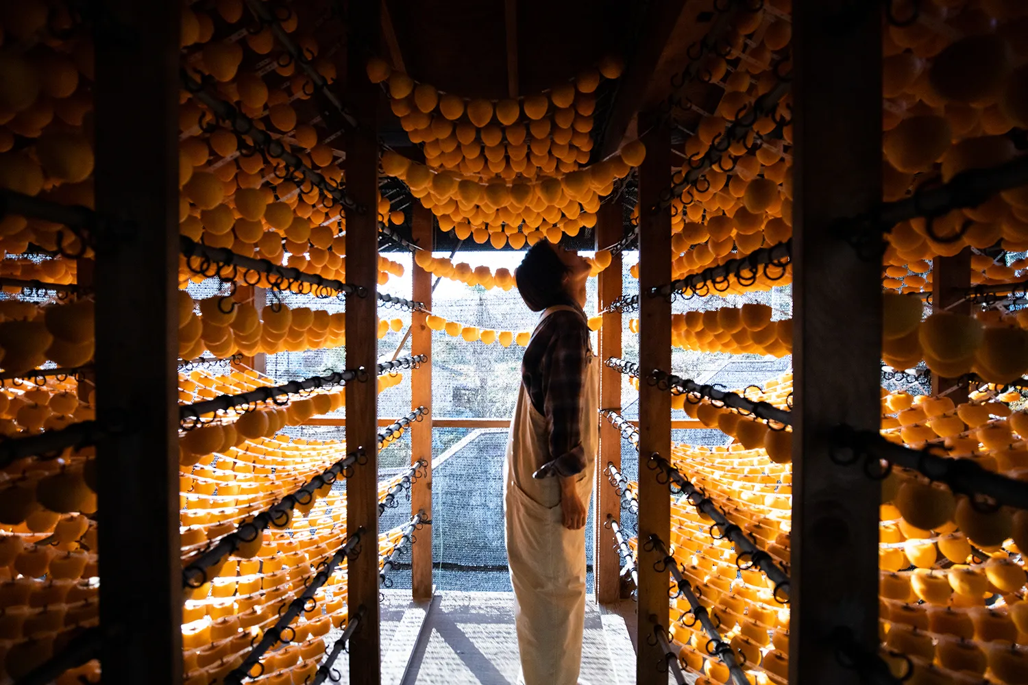 あんぽ柿 生産者 国見町 特産
