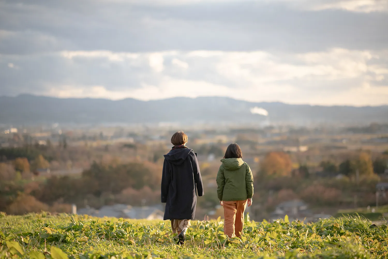 阿津賀志山防塁 福島県国見町